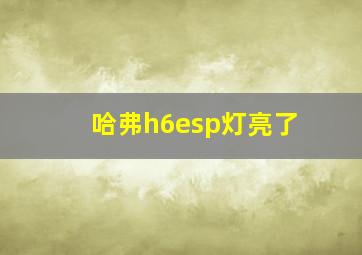 哈弗h6esp灯亮了