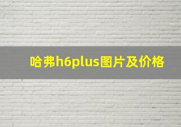 哈弗h6plus图片及价格