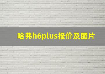 哈弗h6plus报价及图片