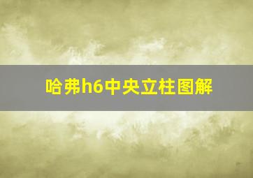 哈弗h6中央立柱图解