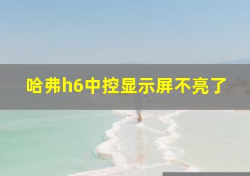 哈弗h6中控显示屏不亮了