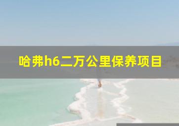 哈弗h6二万公里保养项目