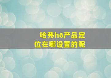 哈弗h6产品定位在哪设置的呢