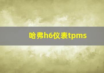 哈弗h6仪表tpms