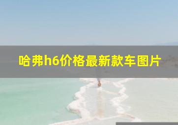 哈弗h6价格最新款车图片