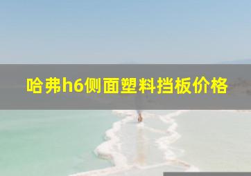 哈弗h6侧面塑料挡板价格