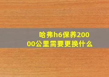 哈弗h6保养20000公里需要更换什么