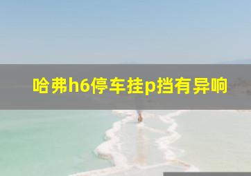 哈弗h6停车挂p挡有异响