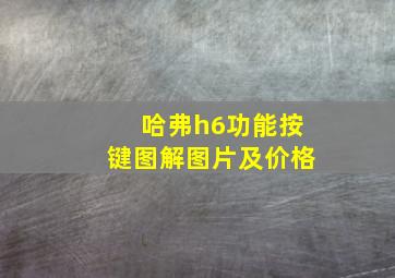 哈弗h6功能按键图解图片及价格