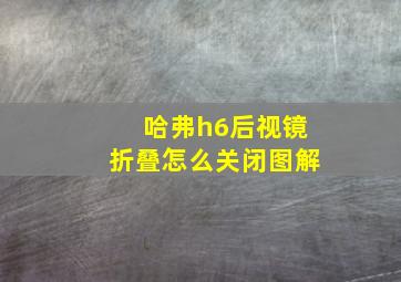 哈弗h6后视镜折叠怎么关闭图解