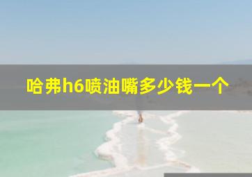 哈弗h6喷油嘴多少钱一个