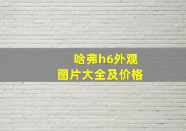 哈弗h6外观图片大全及价格