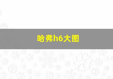 哈弗h6大图