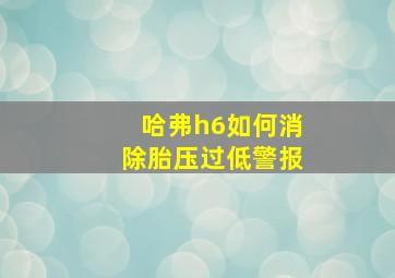 哈弗h6如何消除胎压过低警报