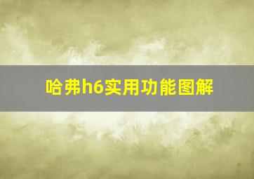 哈弗h6实用功能图解