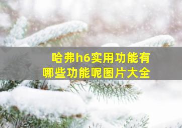 哈弗h6实用功能有哪些功能呢图片大全