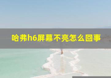 哈弗h6屏幕不亮怎么回事