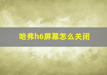 哈弗h6屏幕怎么关闭