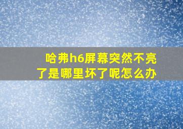 哈弗h6屏幕突然不亮了是哪里坏了呢怎么办