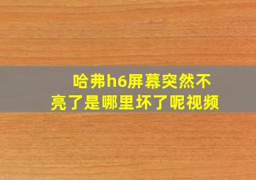 哈弗h6屏幕突然不亮了是哪里坏了呢视频