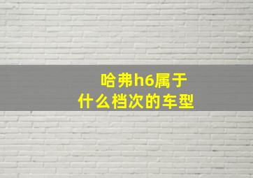 哈弗h6属于什么档次的车型