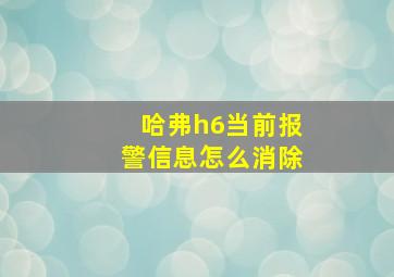 哈弗h6当前报警信息怎么消除