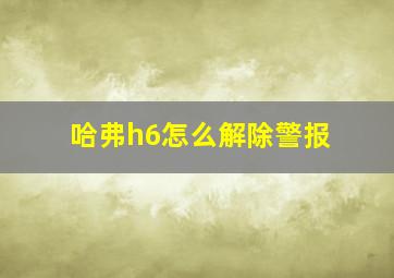 哈弗h6怎么解除警报