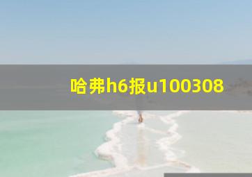 哈弗h6报u100308