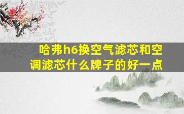 哈弗h6换空气滤芯和空调滤芯什么牌子的好一点