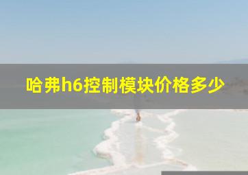 哈弗h6控制模块价格多少