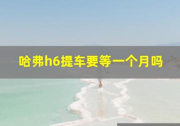 哈弗h6提车要等一个月吗