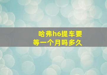 哈弗h6提车要等一个月吗多久