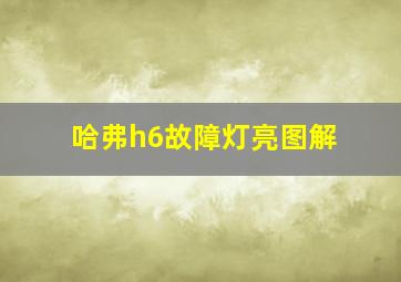 哈弗h6故障灯亮图解