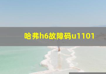 哈弗h6故障码u1101