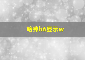 哈弗h6显示w