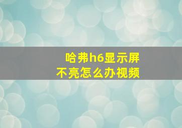 哈弗h6显示屏不亮怎么办视频