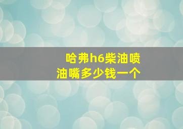 哈弗h6柴油喷油嘴多少钱一个