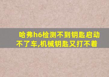 哈弗h6检测不到钥匙启动不了车,机械钥匙又打不着