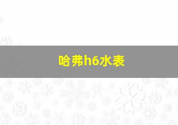 哈弗h6水表