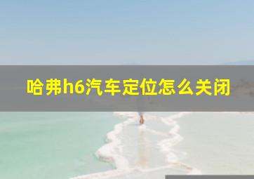 哈弗h6汽车定位怎么关闭