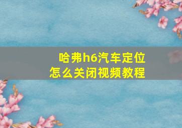 哈弗h6汽车定位怎么关闭视频教程