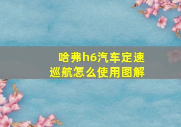 哈弗h6汽车定速巡航怎么使用图解