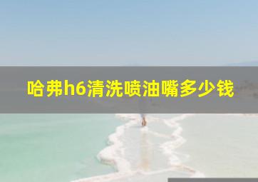 哈弗h6清洗喷油嘴多少钱