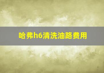 哈弗h6清洗油路费用