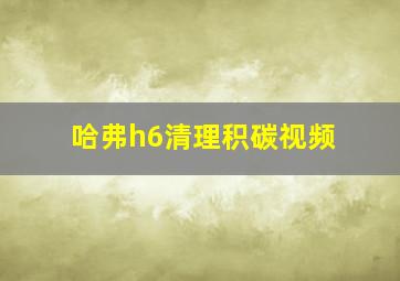 哈弗h6清理积碳视频