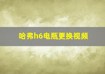 哈弗h6电瓶更换视频