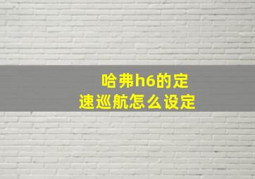 哈弗h6的定速巡航怎么设定