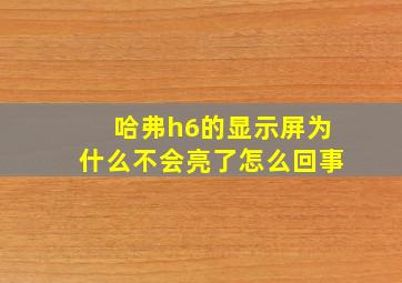 哈弗h6的显示屏为什么不会亮了怎么回事