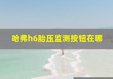 哈弗h6胎压监测按钮在哪