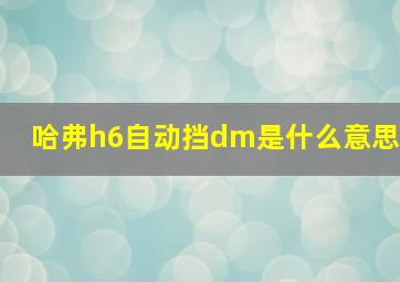 哈弗h6自动挡dm是什么意思